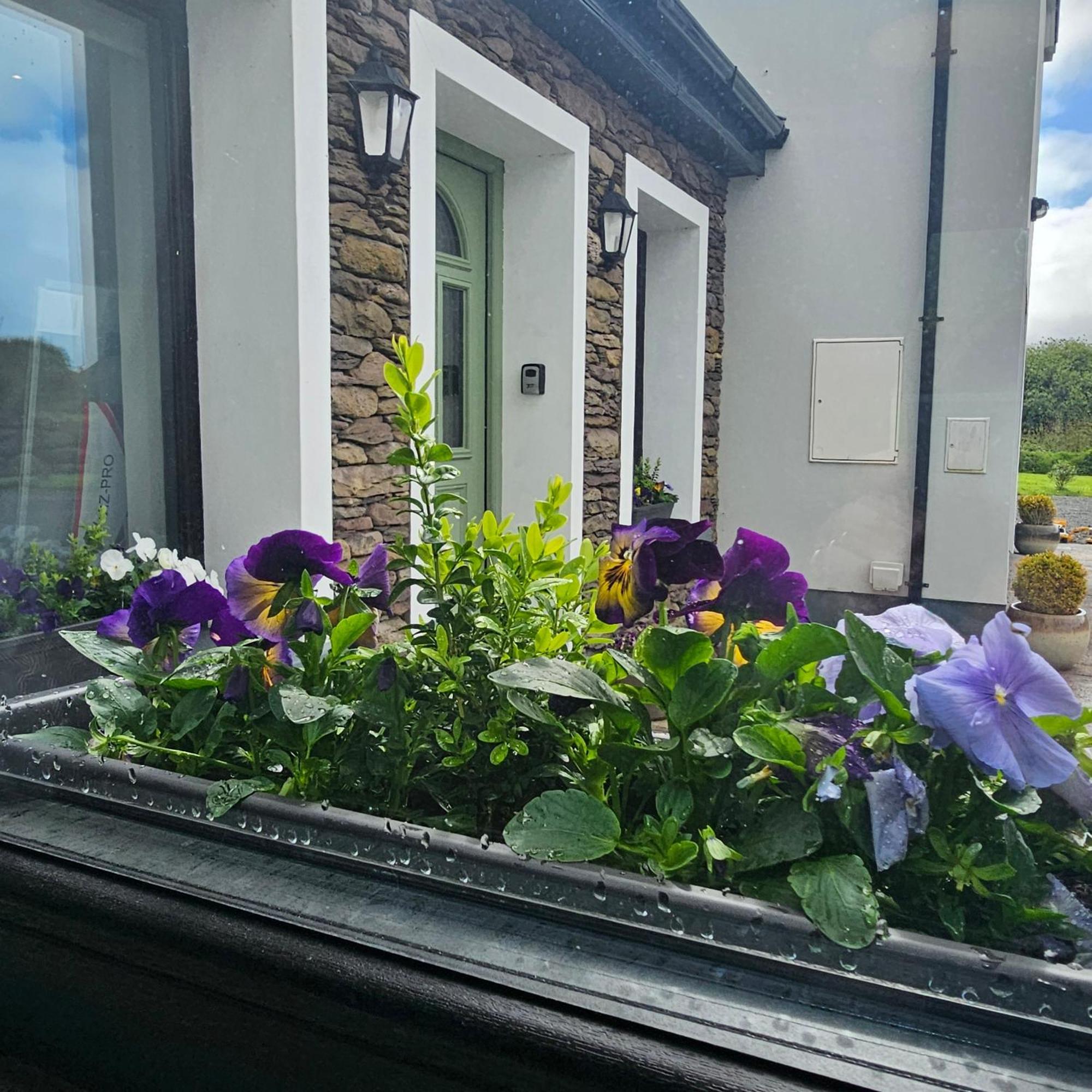 The Ce Hideout Apartment Tralee Exterior photo